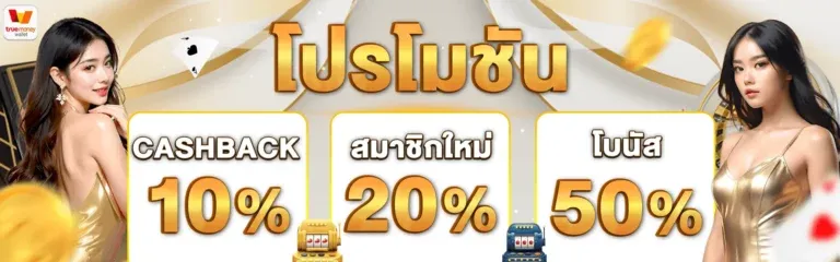 ความสำคัญของข้อมูลโปรโมชั่น​